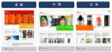 跨國公司網站建設 上海的專業選擇與實踐