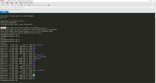 大學四年，我電腦上那些不可或缺的開發軟件